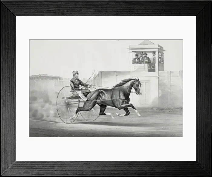 Framed Print : Celebrated horse dexter, The king of the world Framed Print : Celebrated horse dexter, The king of the world