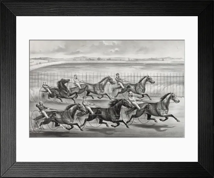 Framed Print : The brush on the homestretch: Between American girl, Lucy, B Framed Print : The brush on the homestretch: Between American girl, Lucy, B