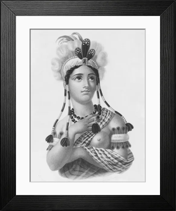 Framed Print : L Amerique Framed Print : L Amerique