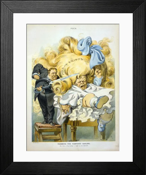Framed Print : Trimming the pampered darling Framed Print : Trimming the pampered darling