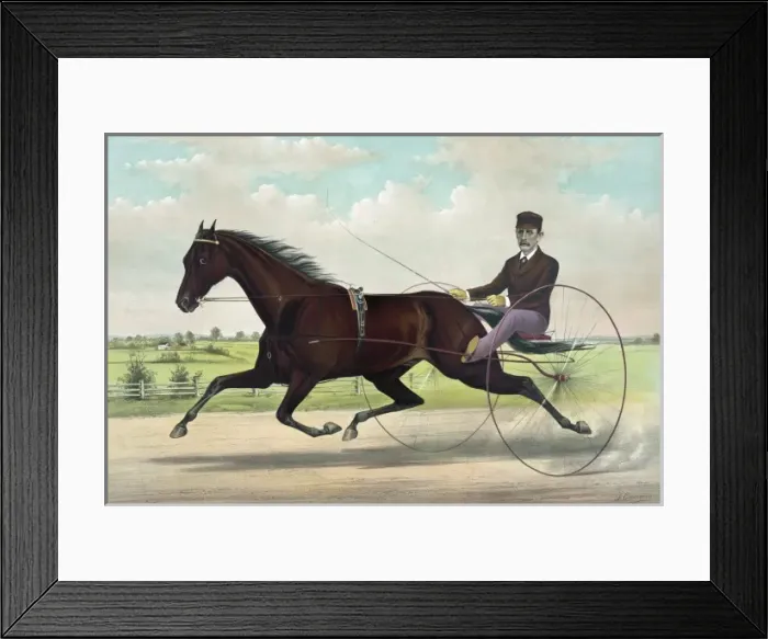 Framed Print : The champion pacer Johnston, by Bashaw Golddust. Named for a Framed Print : The champion pacer Johnston, by Bashaw Golddust. Named for a