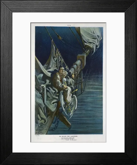Framed Print : He killed the albatross Framed Print : He killed the albatross