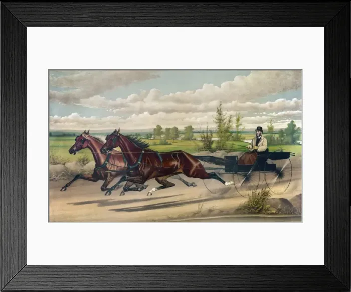 Framed Print : Celebrated Boston team mill boy and Blondine, owned and driv Framed Print : Celebrated Boston team mill boy and Blondine, owned and driv