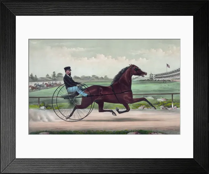 Framed Print : The champion trotting stallion Smuggler owned by H. S. Russel Framed Print : The champion trotting stallion Smuggler owned by H. S. Russel