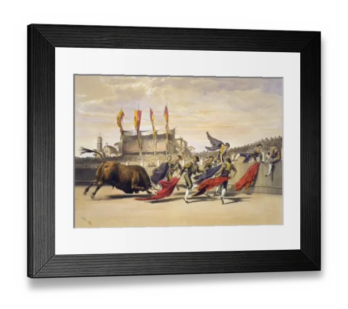 Framed Print : Chulos playing the bull Framed Print : Chulos playing the bull