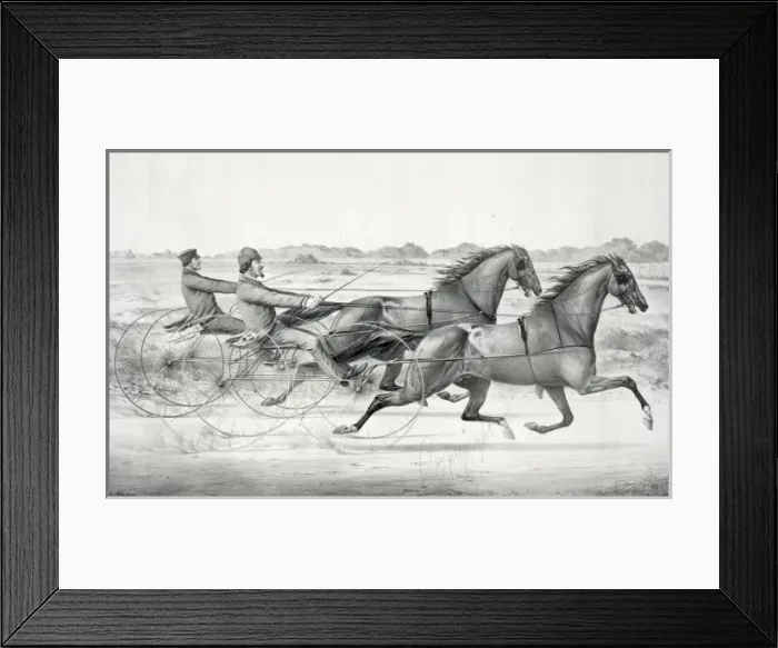 Framed Print : The celebrated trotting Stallions Ethan Allen and George M Framed Print : The celebrated trotting Stallions Ethan Allen and George M