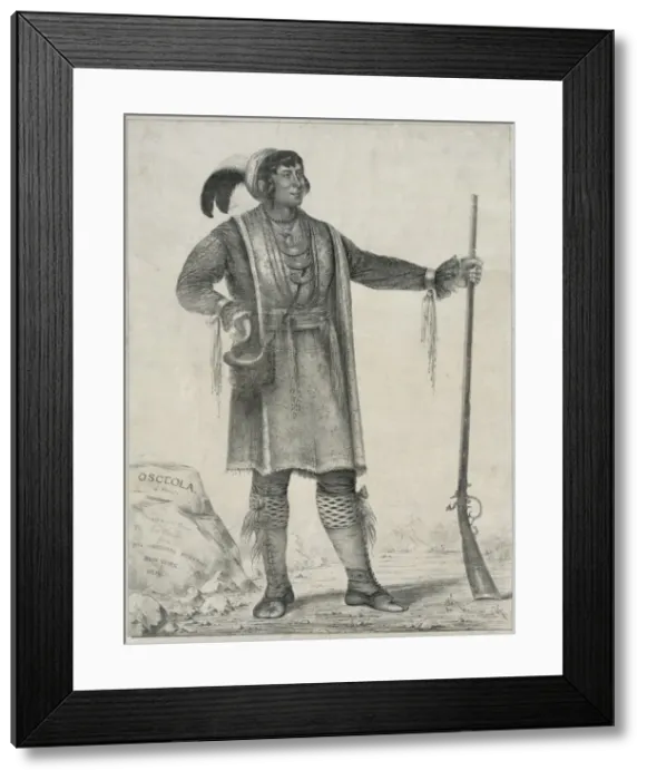 Framed Print : Osceola of Florida Framed Print : Osceola of Florida