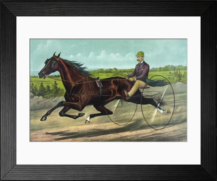 Framed Print : The champion Stallion Maxy Cobb by Happy Medium Framed Print : The champion Stallion Maxy Cobb by Happy Medium