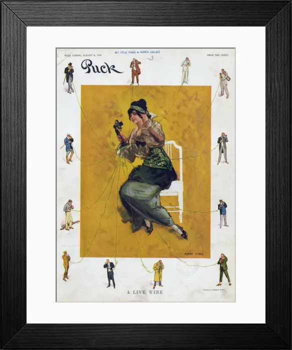Framed Print : A live wire Framed Print : A live wire