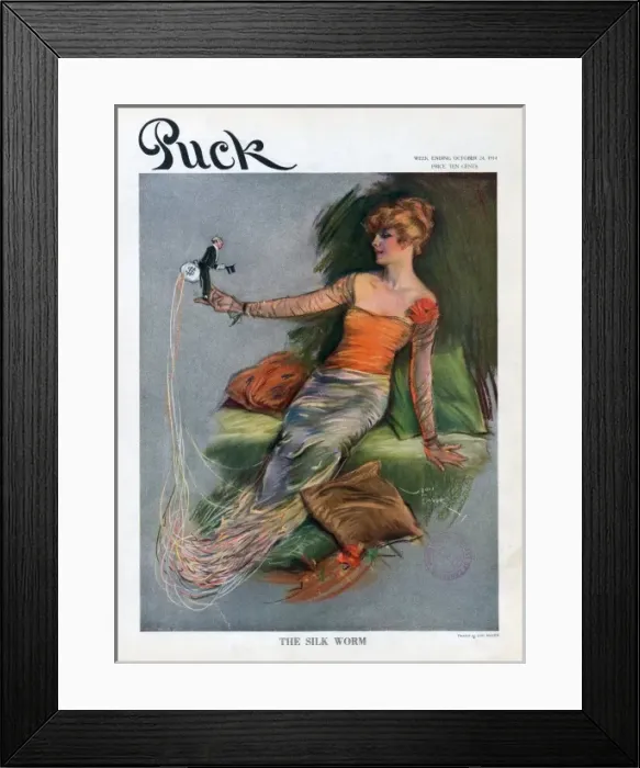 Framed Print : The silk worm Framed Print : The silk worm