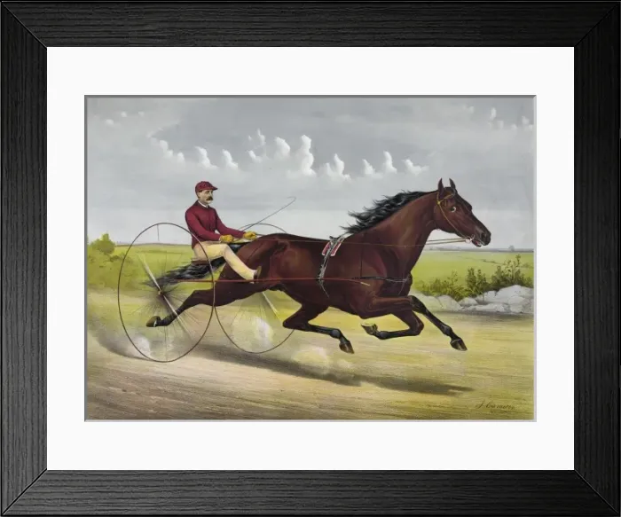 Framed Print : The champion trotting Stallion Nelson, by Young Rolfe, dam G Framed Print : The champion trotting Stallion Nelson, by Young Rolfe, dam G