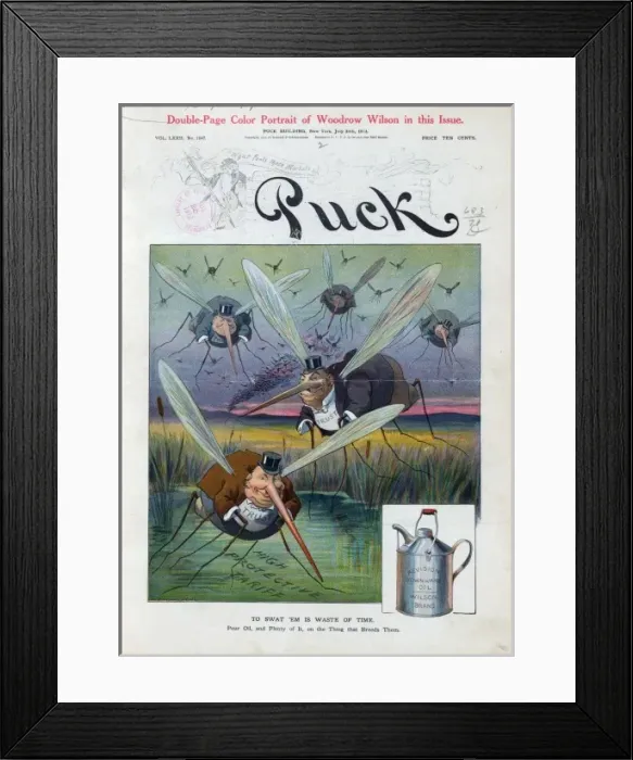 Framed Print : To swat em is waste of time Framed Print : To swat em is waste of time