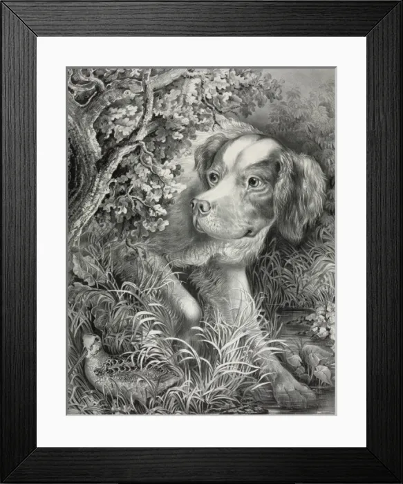 Framed Print : Close quarters Framed Print : Close quarters