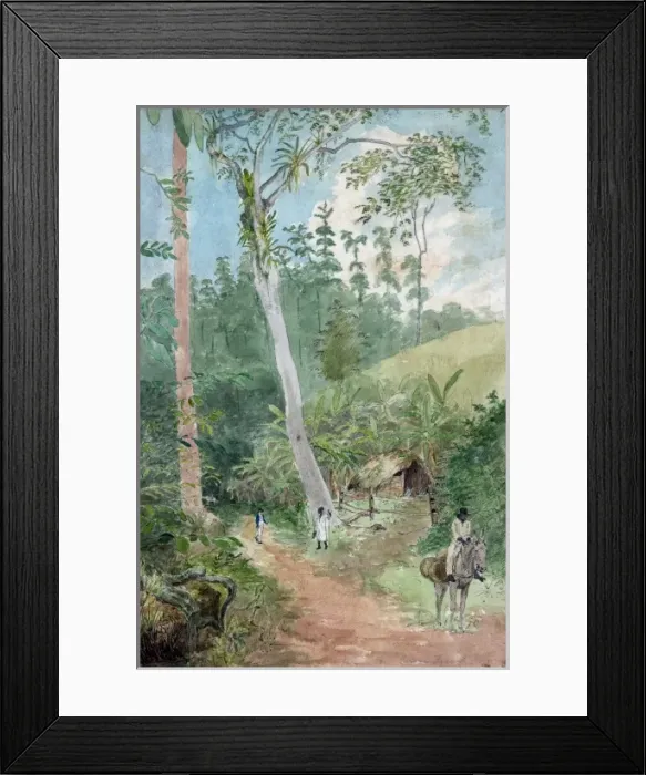 Framed Print : Plantain Walk - Bookkeeper - Watchman and Hut - man with cas Framed Print : Plantain Walk - Bookkeeper - Watchman and Hut - man with cas