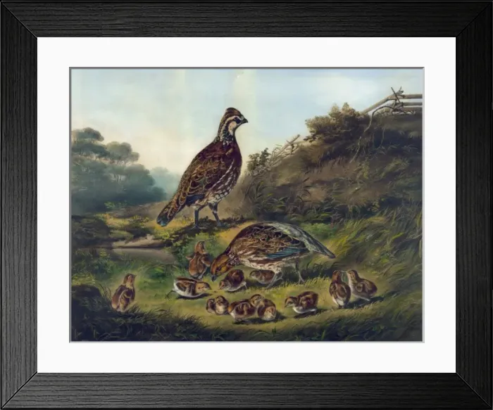 Framed Print : Cares of a family Framed Print : Cares of a family