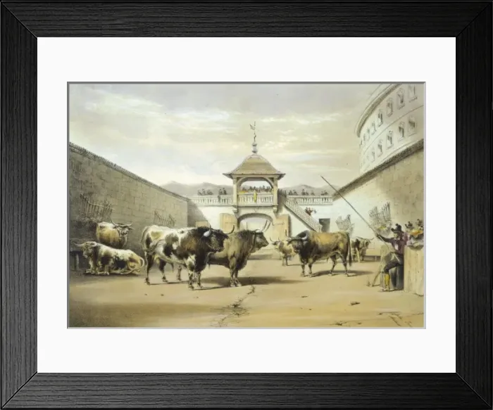 Framed Print : The bulls in the corral of the plaza Framed Print : The bulls in the corral of the plaza