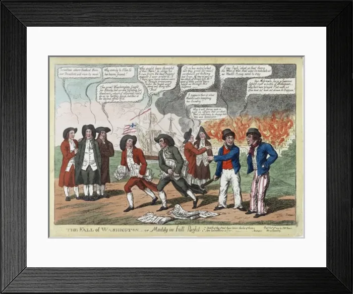 Framed Print : The fall of Washington--or Maddy in full flight Framed Print : The fall of Washington--or Maddy in full flight