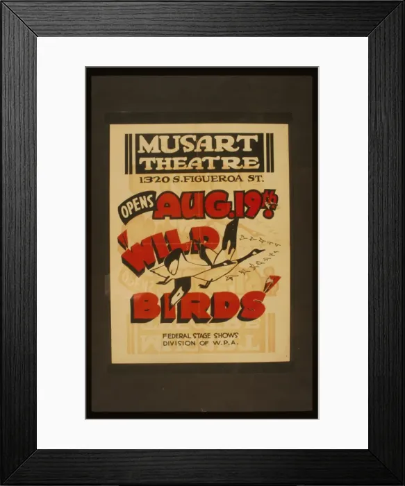 Framed Print : Wild birds Wild birds Framed Print : Wild birds Wild birds