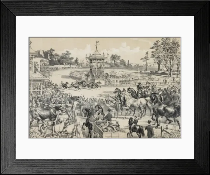 Framed Print : At the fair grounds Framed Print : At the fair grounds