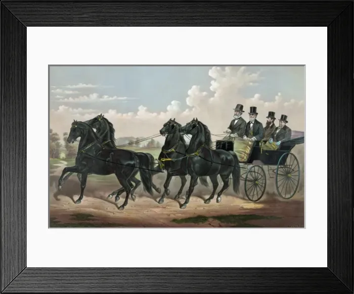 Framed Print : The celebrated Four in hand Stallion team: Superb and his th Framed Print : The celebrated Four in hand Stallion team: Superb and his th