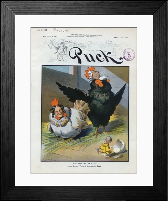 Framed Print : Hatched one at last Framed Print : Hatched one at last