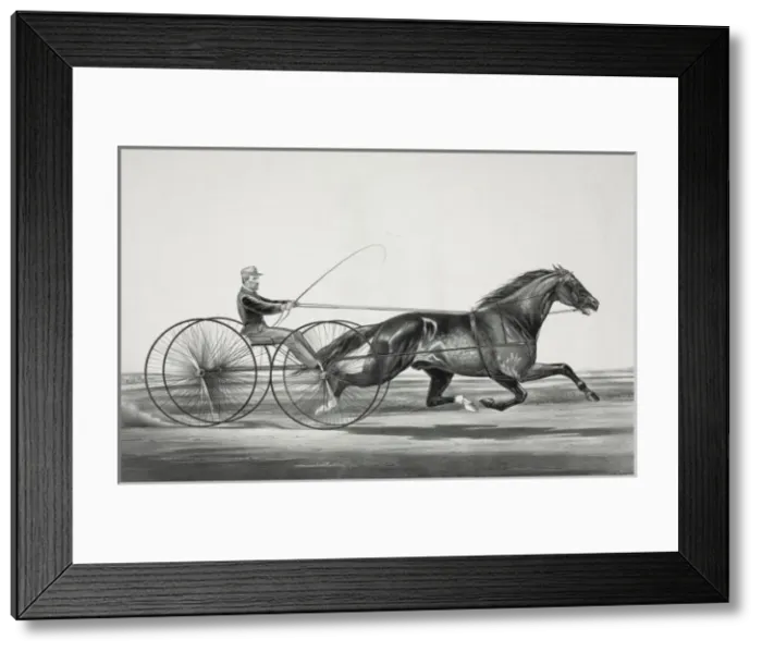 Framed Print : Auburn horse: driven by his owner Robert Bonner, Esq Framed Print : Auburn horse: driven by his owner Robert Bonner, Esq