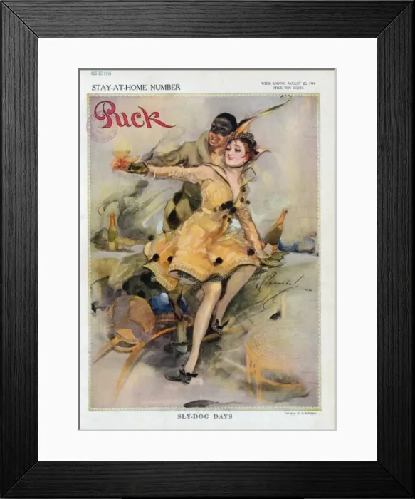 Framed Print : Sly-dog days Framed Print : Sly-dog days