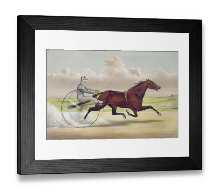 Framed Print : The celebrated trotting mare Hattie Woodward, by Aberdeen, d Framed Print : The celebrated trotting mare Hattie Woodward, by Aberdeen, d