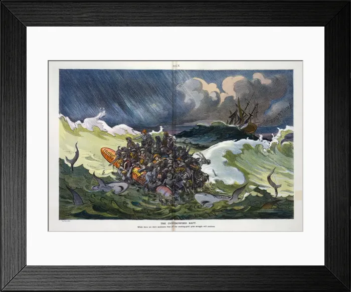 Framed Print : The overcrowded raft Framed Print : The overcrowded raft