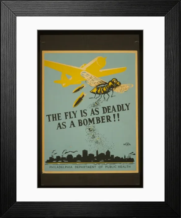 Framed Print : The fly is as deadly as a bomber Framed Print : The fly is as deadly as a bomber