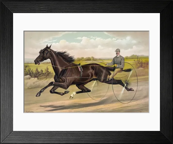 Framed Print : The celebrated trotting Stallion Alexander by Ben Patchen, d Framed Print : The celebrated trotting Stallion Alexander by Ben Patchen, d