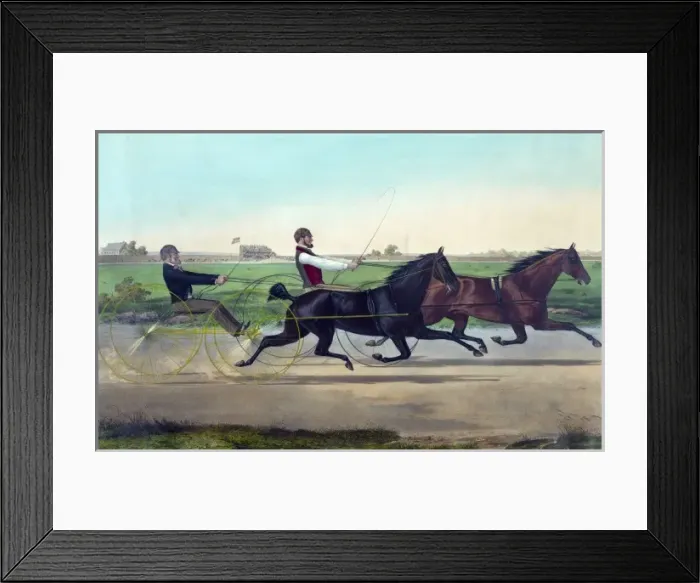 Framed Print : Centreville and Black Douglas: Centreville Course L. I. July Framed Print : Centreville and Black Douglas: Centreville Course L. I. July