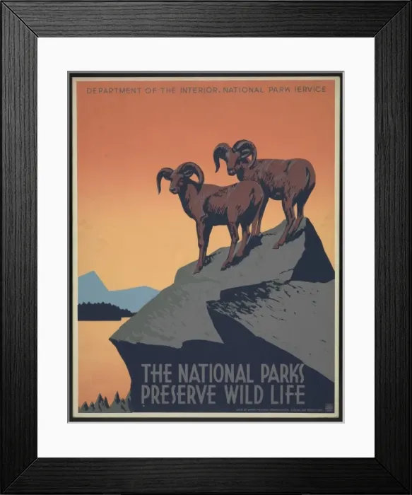 Framed Print : The national parks preserve wild life Framed Print : The national parks preserve wild life
