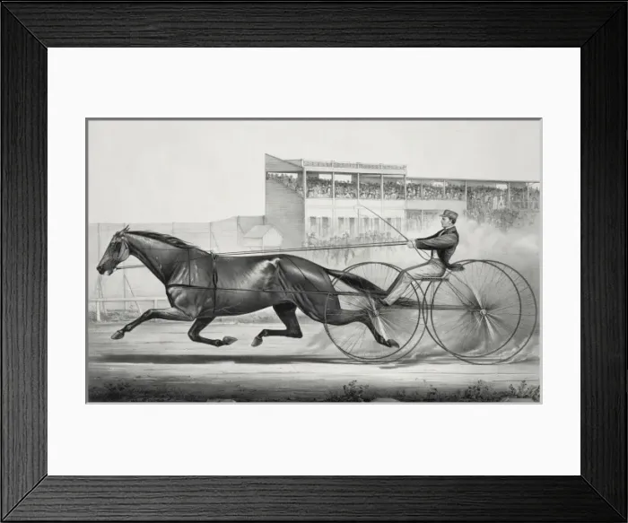 Framed Print : Celebrated trotting mare Lady Thorne, formerly Maid of Ashla Framed Print : Celebrated trotting mare Lady Thorne, formerly Maid of Ashla