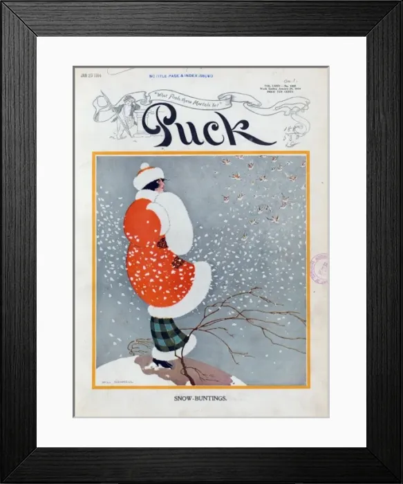 Framed Print : Snow-buntings Framed Print : Snow-buntings