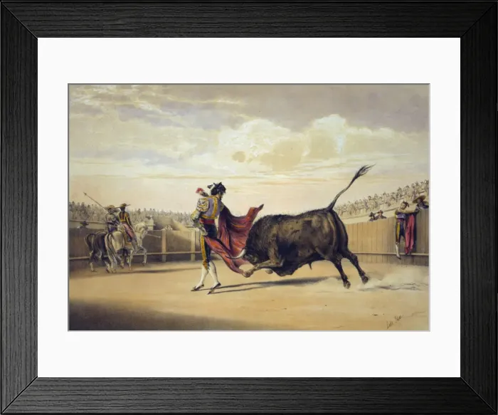 Framed Print : La suerte de la capa Framed Print : La suerte de la capa