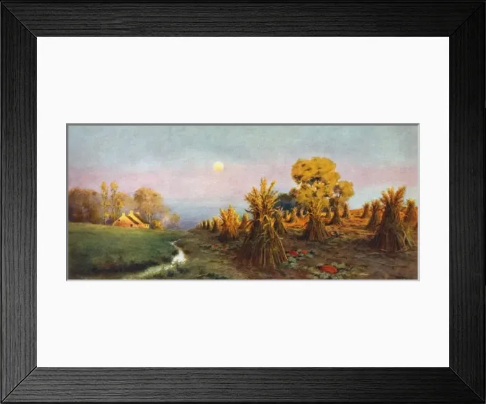 Framed Print : Natures bounty Framed Print : Natures bounty