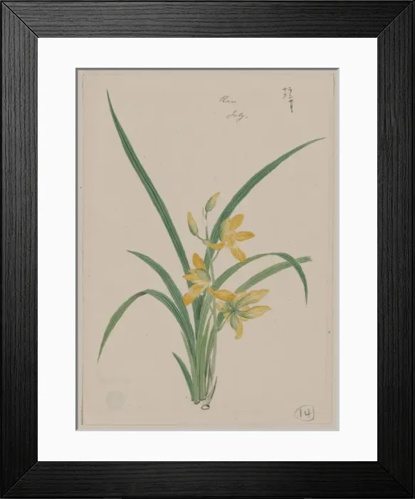 Framed Print : Mirau - March Framed Print : Mirau - March