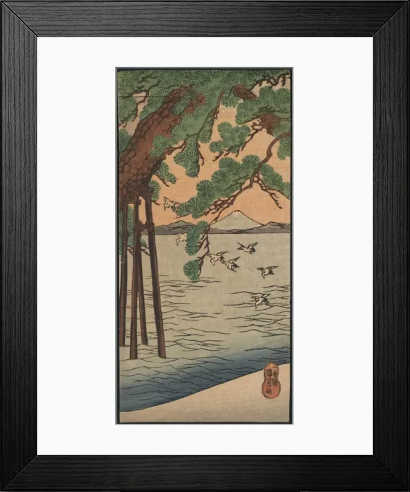 Framed Print : Pine tree on the shore Framed Print : Pine tree on the shore