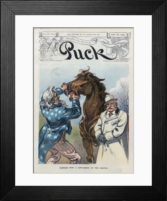 Framed Print : Always look a gift-horse in the mouth Framed Print : Always look a gift-horse in the mouth