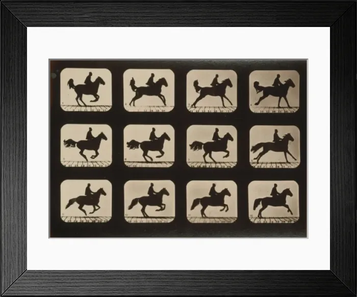Framed Print : Horses. Irregular Framed Print : Horses. Irregular