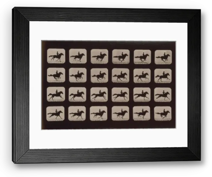 Framed Print : Horses. Running Framed Print : Horses. Running