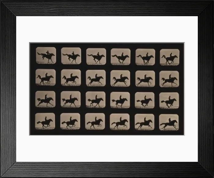 Framed Print : Horses. After leaping a 3 ft. 6 hurdle Framed Print : Horses. After leaping a 3 ft. 6 hurdle