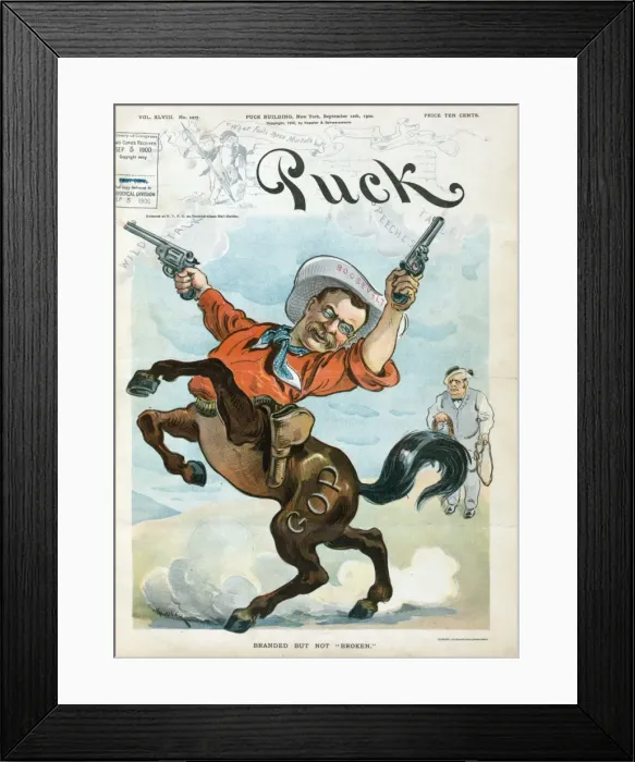 Framed Print : Branded but not broken Framed Print : Branded but not broken
