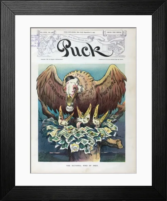 Framed Print : The national bird of prey Framed Print : The national bird of prey