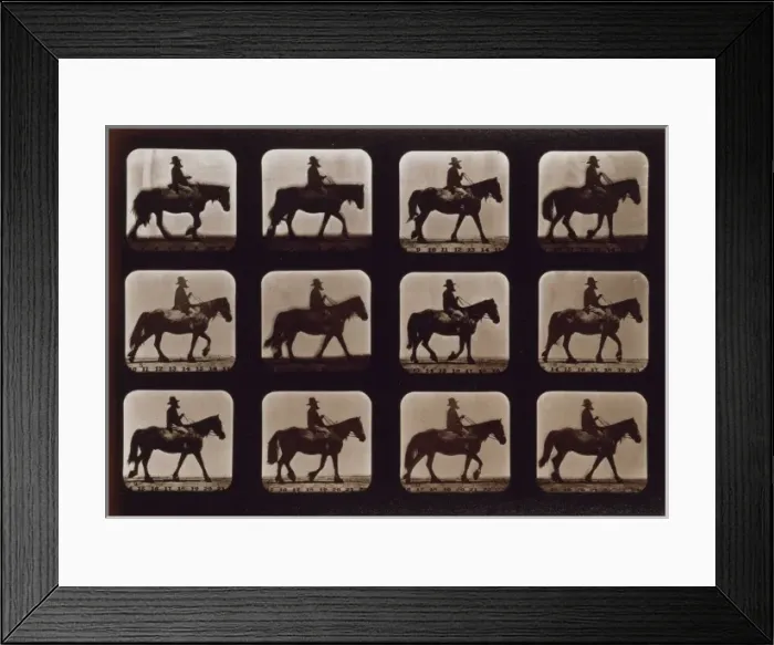 Framed Print : Horses. Walking Framed Print : Horses. Walking