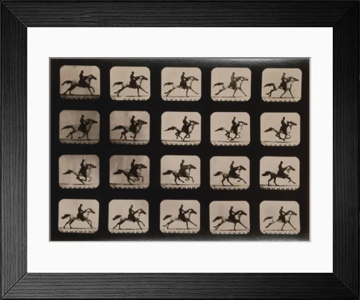 Framed Print : Horses. Running Framed Print : Horses. Running
