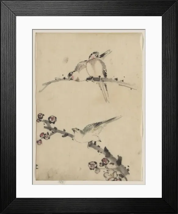 Framed Print : Three birds perched on branches, one with blossoms Framed Print : Three birds perched on branches, one with blossoms