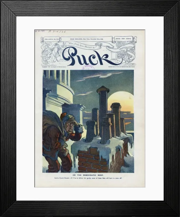 Framed Print : On the democratic roof Framed Print : On the democratic roof