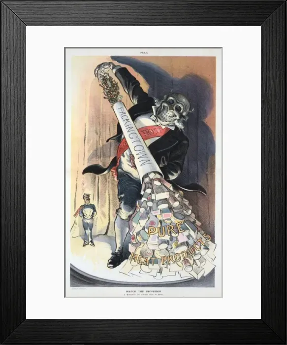 Framed Print : Watch the professor Framed Print : Watch the professor